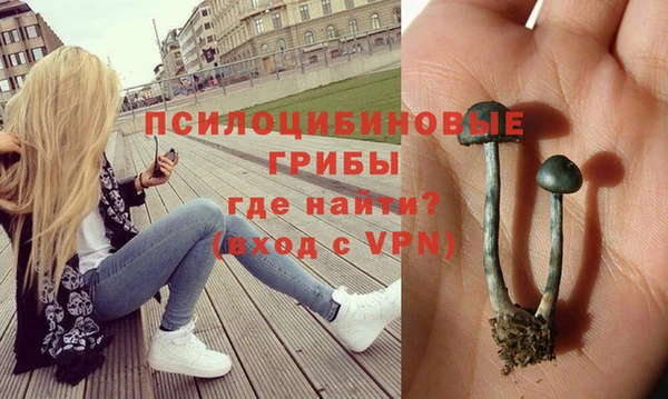 бошки Аркадак